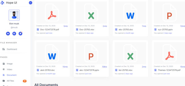 Build A Simple And Functional File Management For Everyday Use | Iqonic ...